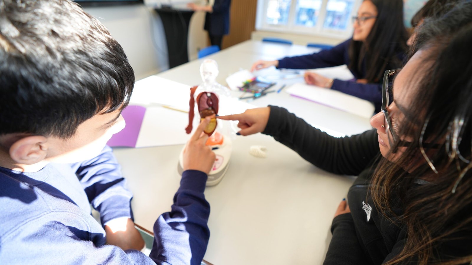 Apollo Education photo 2